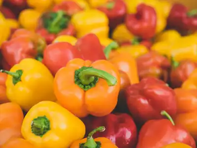Bell Peppers food storage guide