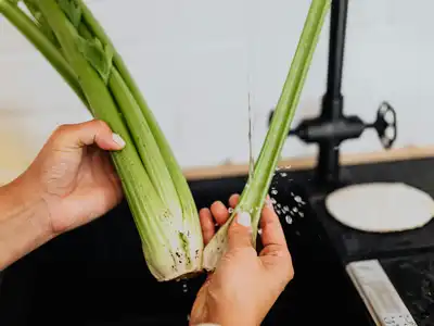 Celery food storage guide