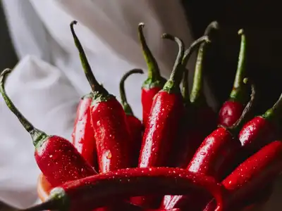 Fresh Chillies and Chili Peppers food storage guide