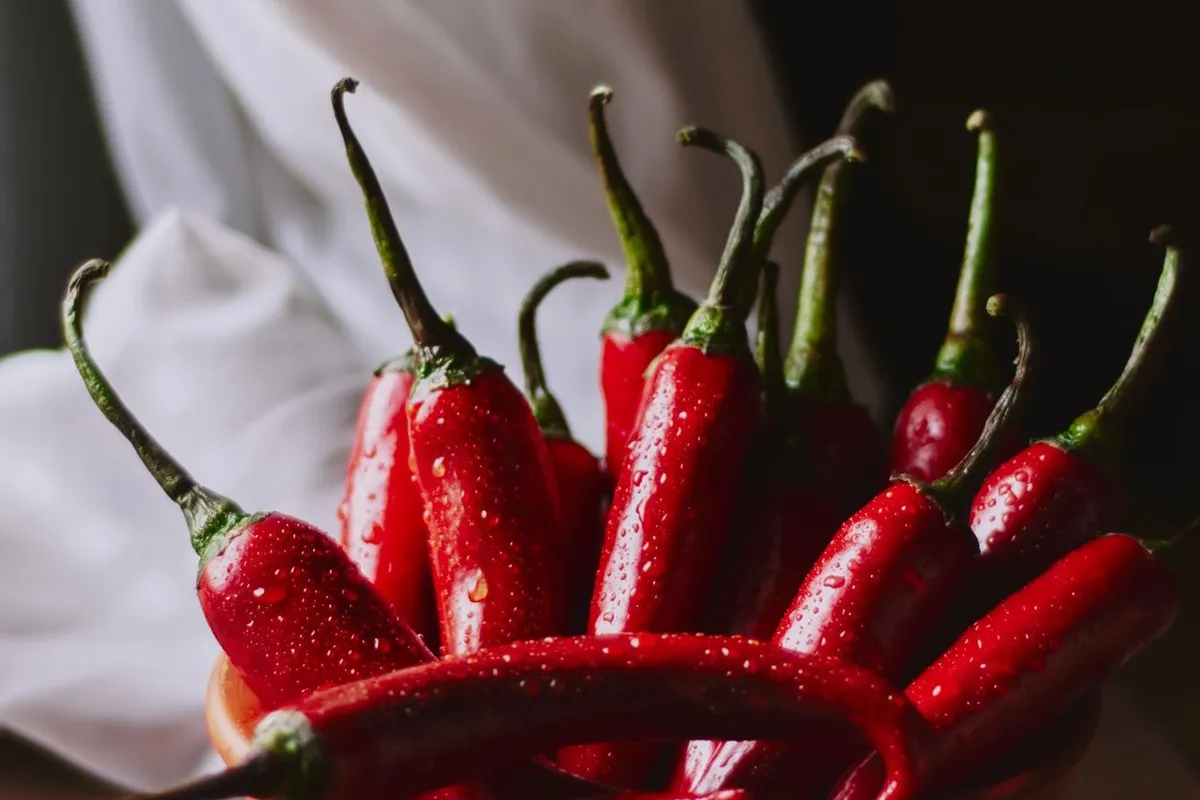 Fresh Chillies and Chili Peppers