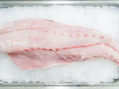 Cod food storage guide