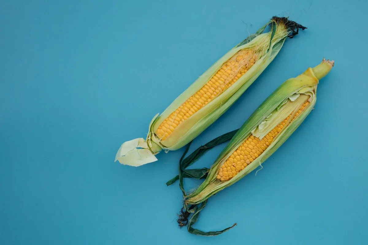 Corn on the Cob