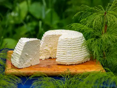 Cottage Cheese food storage guide