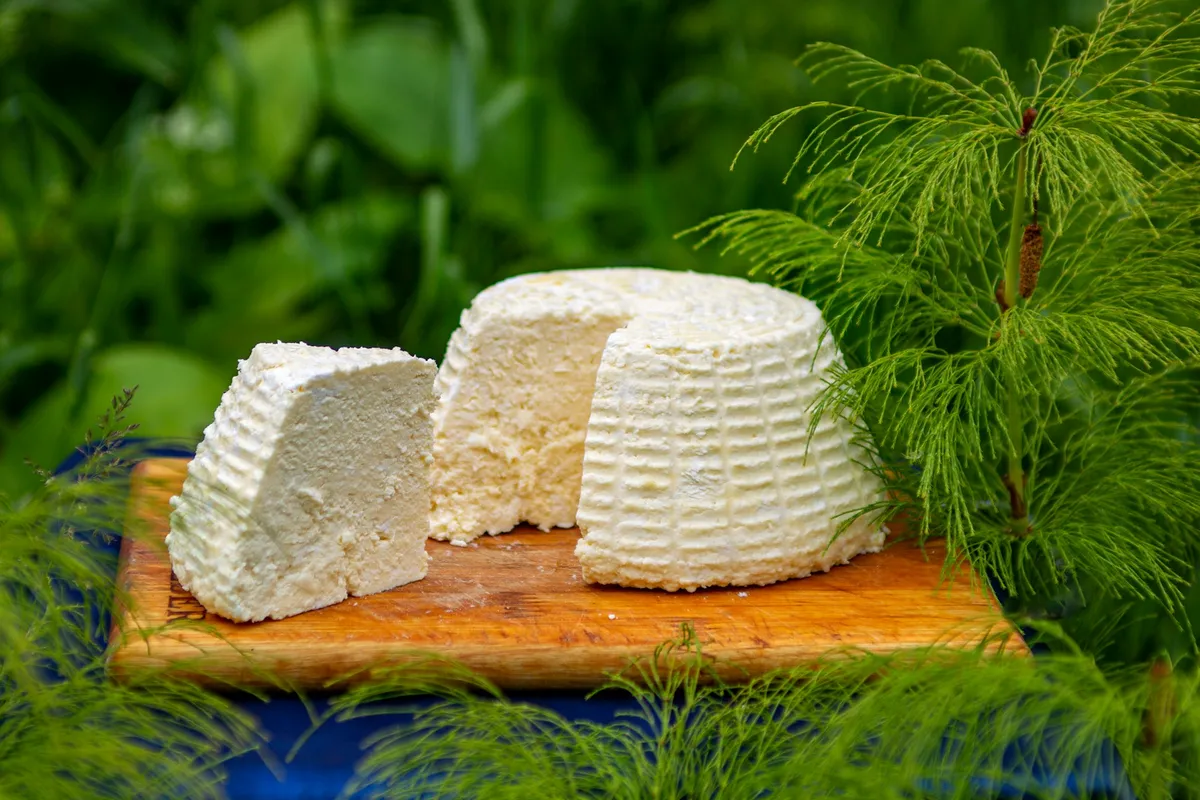 Cottage Cheese