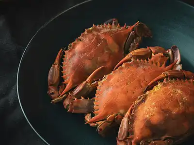 Crab food storage guide