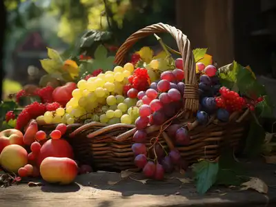 Fruits category
