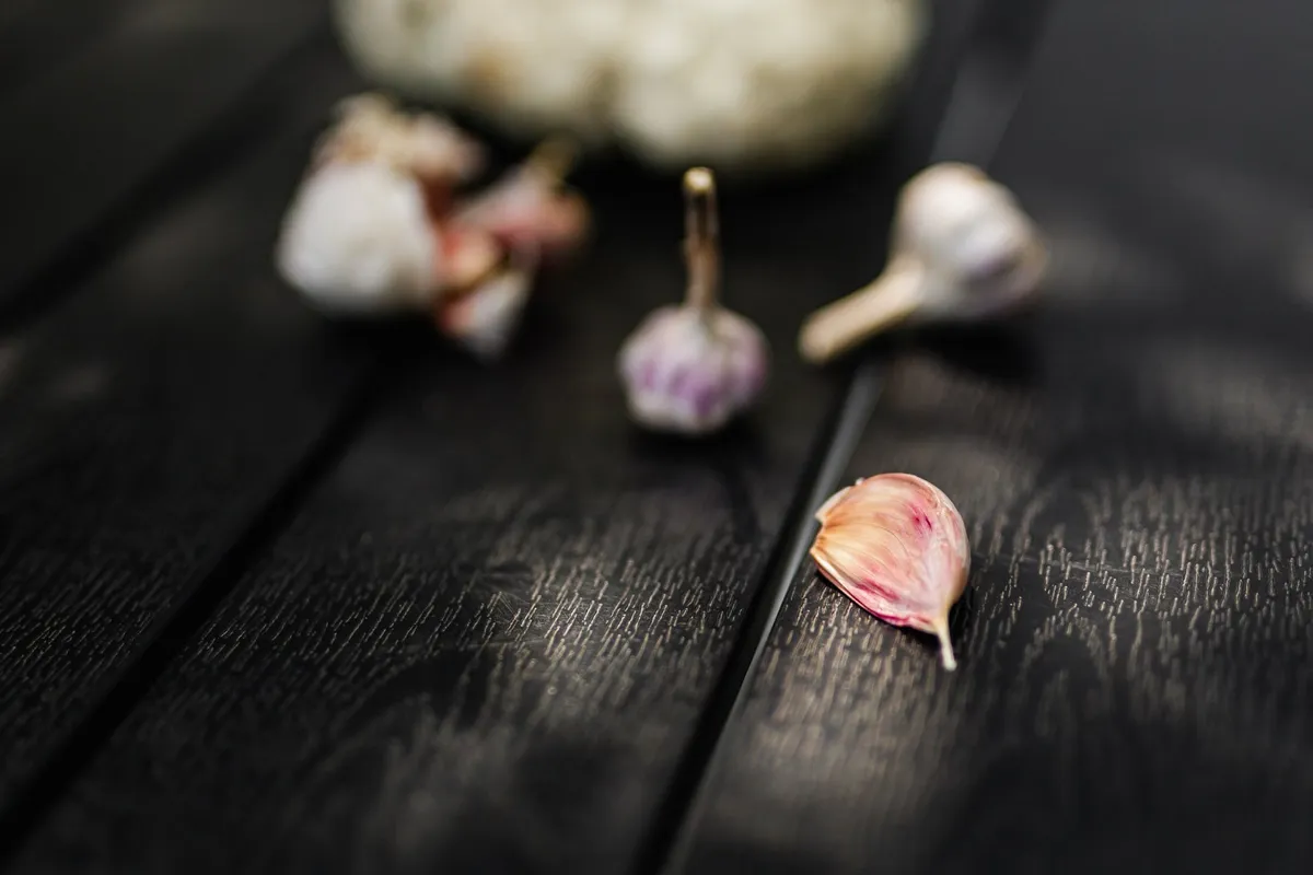 Garlic