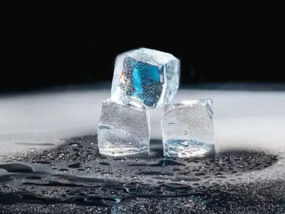 Ice Cubes food storage guide