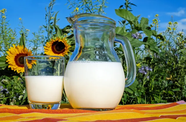 Dairy category