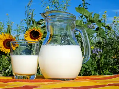 Dairy category
