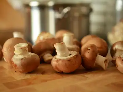 Mushrooms food storage guide