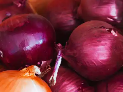 Onions food storage guide