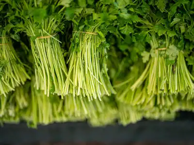 Parsley food storage guide