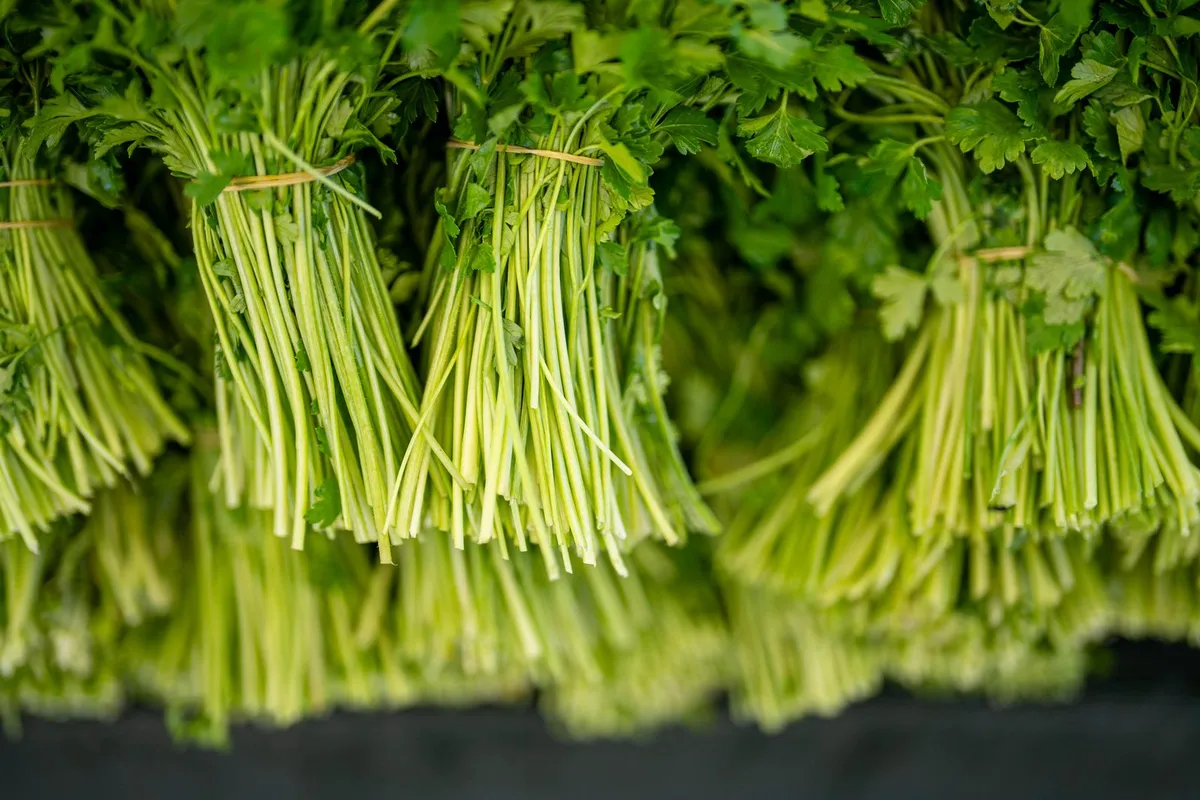 Parsley