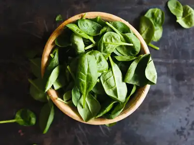 Spinach food storage guide