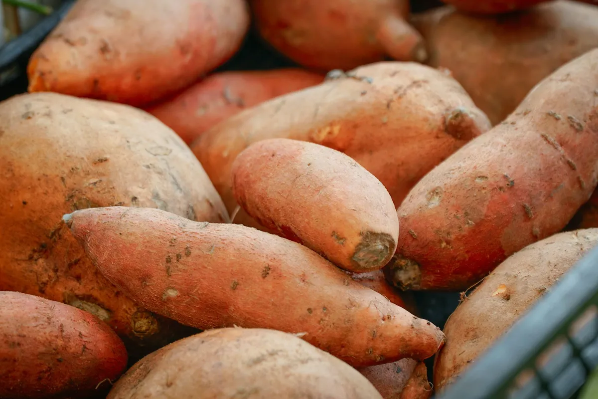 Sweet Potatoes