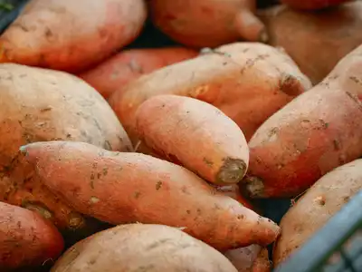 Sweet Potatoes food storage guide