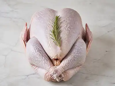 Turkey food storage guide